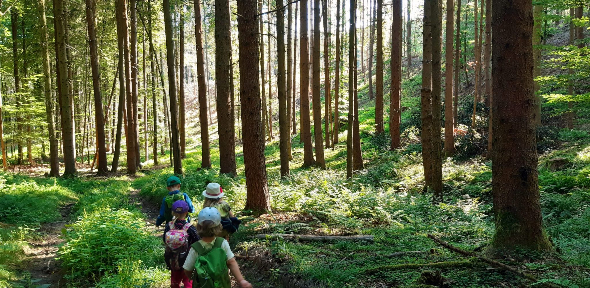 Waldkindergarten Oktober 2020 015